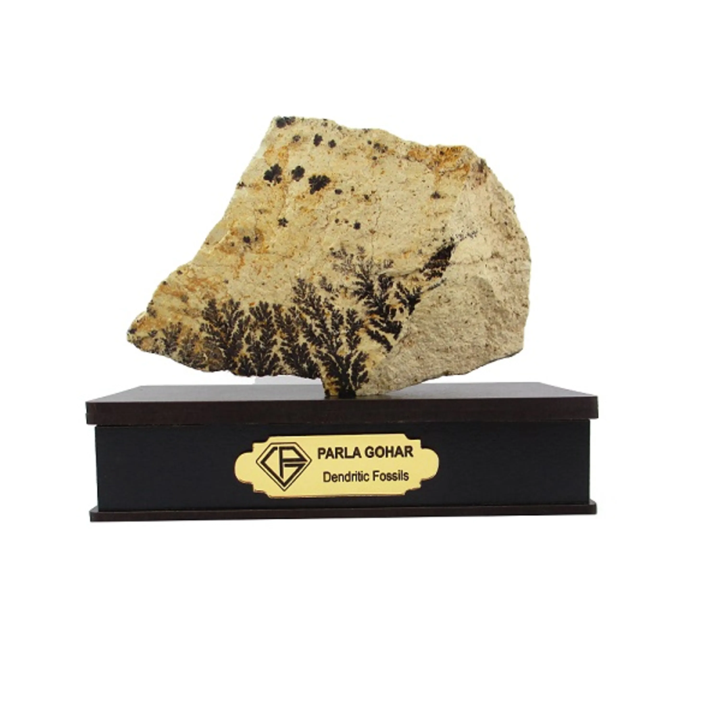 شجر راف کد 2356